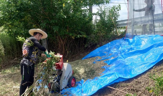 愛知県名古屋市緑区　商業施設　駐車場除草作業